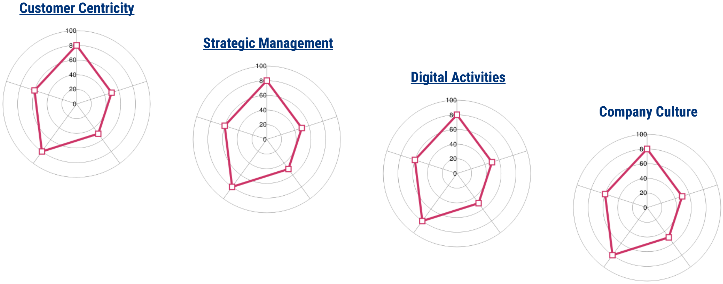 Digital Maturity Model