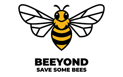 Portrait of Fabian Zbinden, BEEYOND