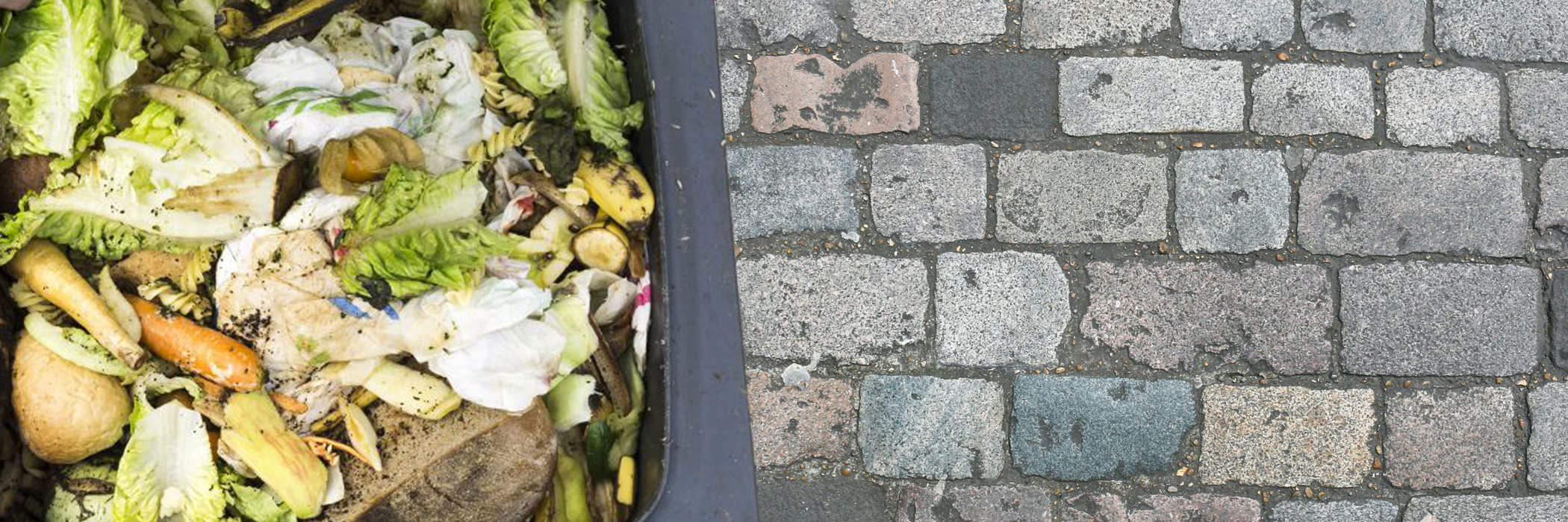 Digitale Grünguttonne