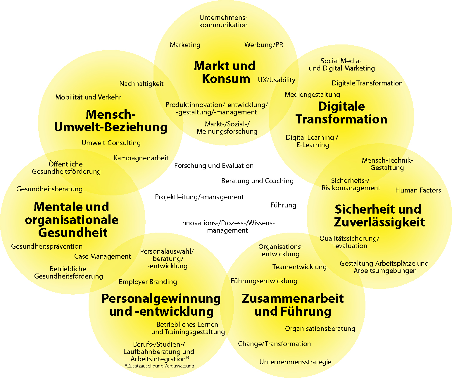Typische Berufsfelder der Arbeits-, Organisations- und Wirtschaftspsychologie. Eine Wolke aus vielen Begriffen, die den sechs Feldern "Markt und Konsum", "Digitale Transformation", "Sicherheit und Zuverlässigkeit", "Zusammenarbeit und Führung", "Personalgewinnung und -entwicklung", "Mentale und organisationale Gesundheit" sowie "Mensch-Umwelt-Beziehung" zugeordnet sind.