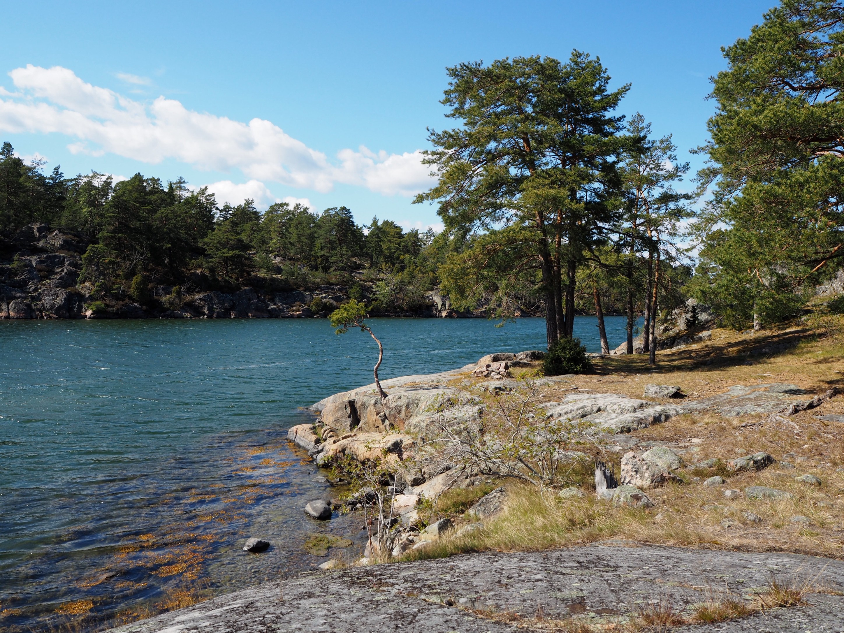 Typische schwedische Küstenlandschaft mit abgeschliffenen Steinen