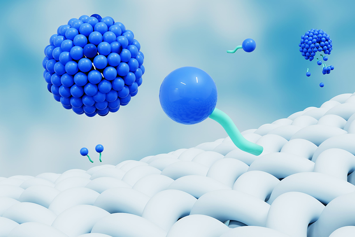 Surfactants, which have a hydrophilic head and hydrophobic tail, are used in biologics formulation to prevent aggregation.